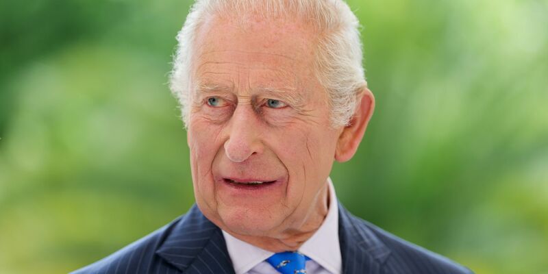 Eine Doku widmet sich dem Engagement von König Charles. (Archivbild) - Foto: Chris Jackson/PA Wire/dpa