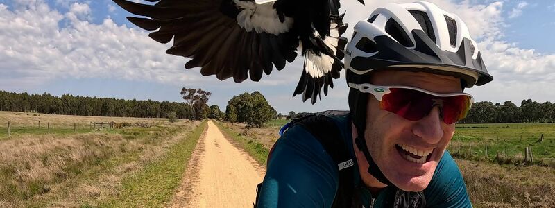 Radfahrer Shane Miller testet einen «PieProof»-Helm gegen Magpie-Angriffe. - Foto: Shane Miller/GPLama/dpa
