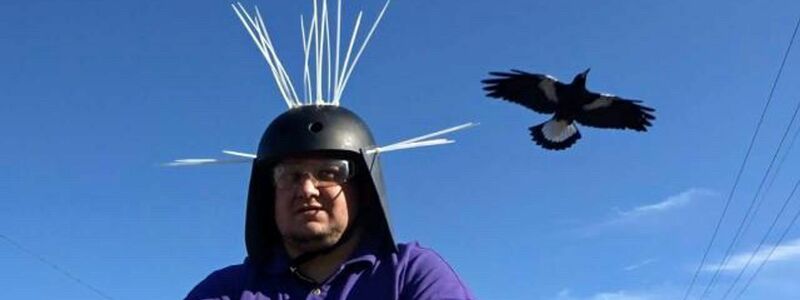 Youtuber Daniel Fitzgerald testet seinen Anti-Magpie-Helm. - Foto: Daniel Fitzgerald