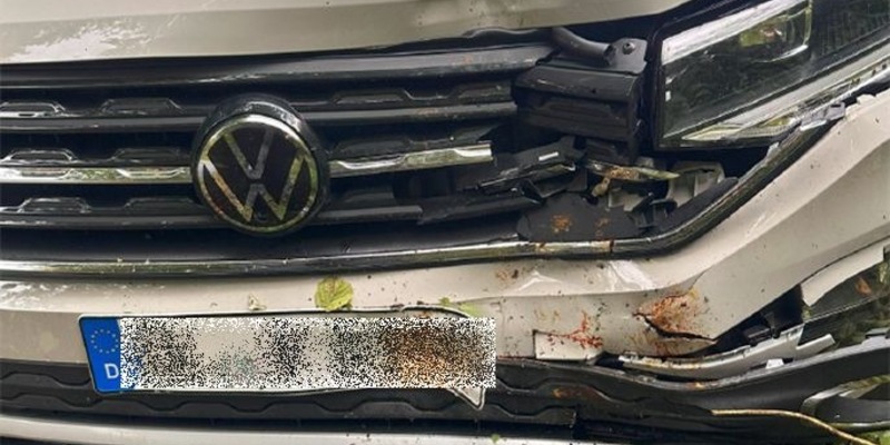 POL-RBK: Rösrath - Achtung Wildwechsel - Unfall mit zwei Leichtverletzten nach Ausweichmanöver - Foto: presseportal.de