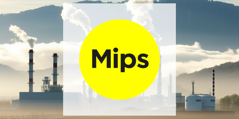 MIPS Aktie: Absturz oder Einstiegschance? - Foto: über boerse-global.de