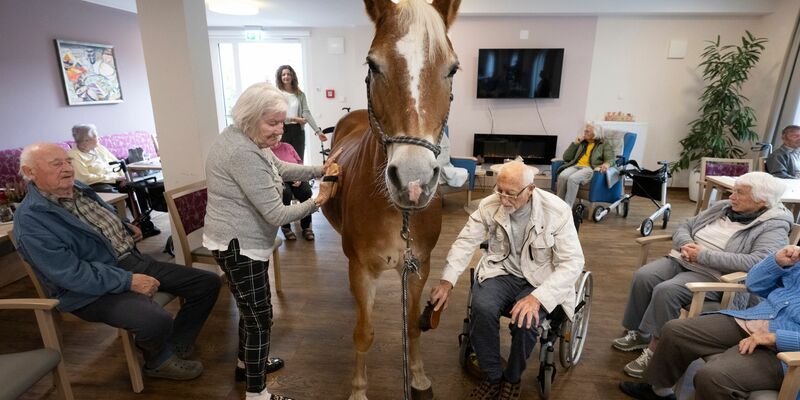 Besitzerin Plaßmeier trainiert mit ihrem Pferd für die Besonderheiten im Pflegeheim. - Foto: Boris Roessler/dpa