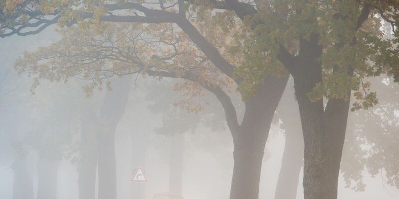 In den allermeisten Ecken Deutschlands bleibt es auch in den kommenden Tagen weitgehend trüb, etwas Hoffnung auf Sonne gibt es für den Südwesten. - Foto: Patrick Pleul/dpa/dpa-tmn