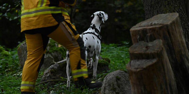 Die Polizei sucht weiter nach dem vermissten Fabian. - Foto: Stefan Sauer/dpa
