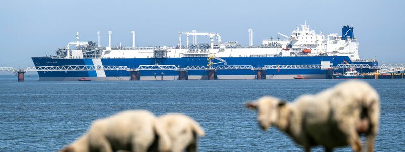 Das Spezialschiff «Excelsior» hat als schwimmendes LNG-Terminal Ende August den kommerziellen Betrieb aufgenommen. (Archivbild) - Foto: Sina Schuldt/dpa