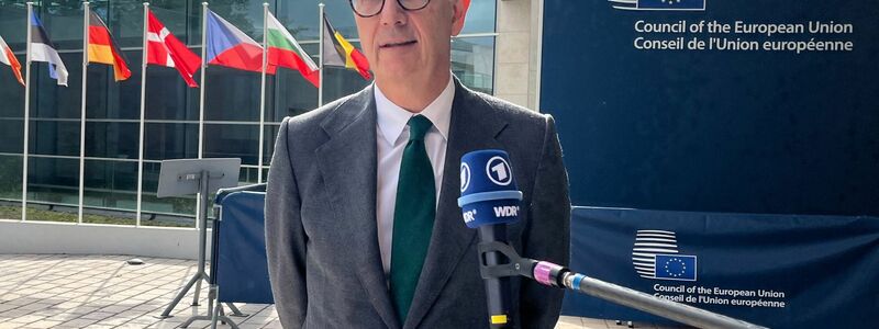Der erst vor einer Woche ins Amt gekommene Roland Lescure bleibt Wirtschaftsminister (Archivbild). - Foto: Katharina Redanz/dpa