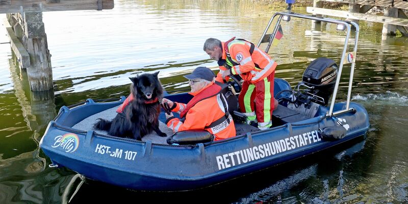 Spürhunde haben laut Polizei auf dem Inselsee am Stadtrand von Güstrow angeschlagen. Am Dienstagmorgen sollen Taucher in dem Bereich zum Einsatz kommen. - Foto: Bernd Wüstneck/dpa