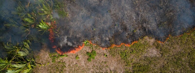 Flammen breiten sich in einem Amazonas-Gebiet aus. (Archivbild) - Foto: Fernando Souza/ZUMA Press Wire/dpa