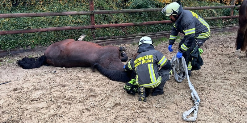 FW-EN: 3 Einsätze am Montagnachmittag für die Freiwillige Feuerwehr Wetter (Ruhr) - Foto: presseportal.de