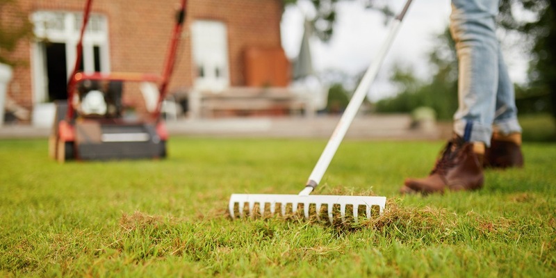 Rasenpflege im Herbst: So kommt der grüne Teppich gesund durch den Winter - Foto: presseportal.de