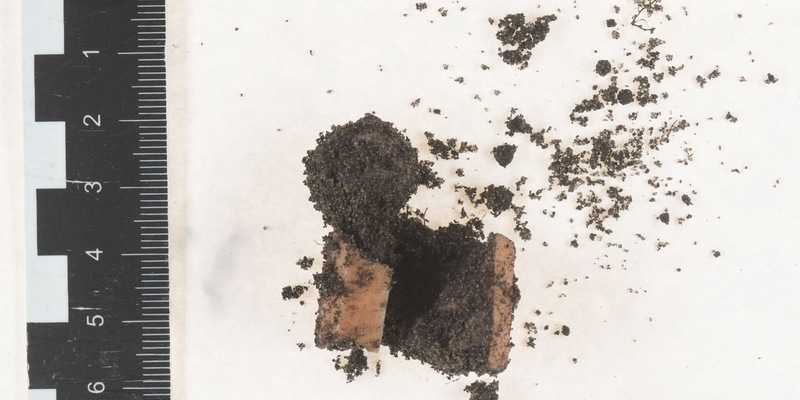 POL-STD: Mögliche Giftköder im Buxtehuder Stadtpark gefunden - Polizei ruft Hundehalter zur Umsicht auf und sucht Zeugen - Foto: presseportal.de