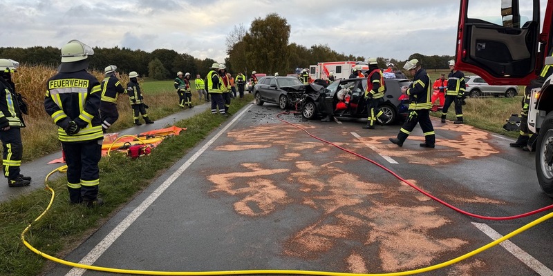 POL-ROW: ++ Dringender Zeugenaufruf ++ Unbekannter verliert Strauchschnitt: 19-jähriger schwebt in Lebensgefahr ++ - Foto: presseportal.de