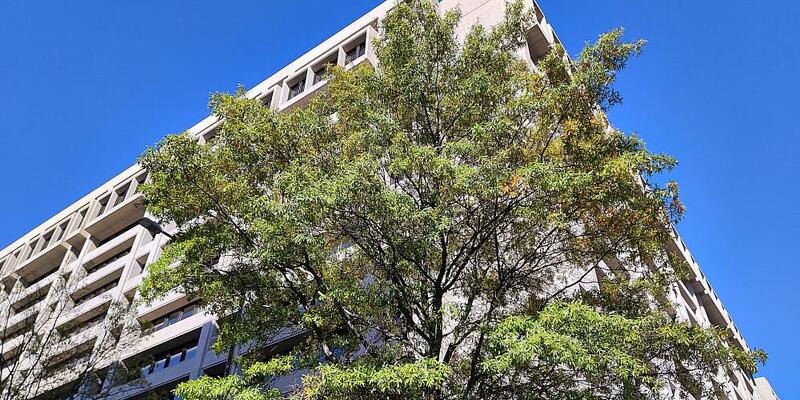 Internationaler Währungsfonds (Archiv) - Foto: über dts Nachrichtenagentur