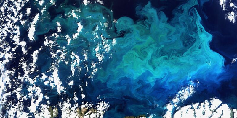 Plankton, aufgenommen vom Satelliten Envisat am 20.08.2009 im Norden Europas(Archivfoto) - Foto: picture alliance / dpa