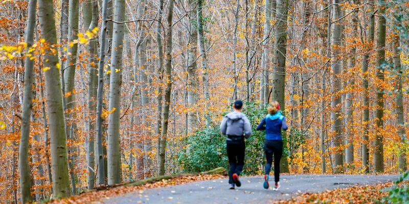 Wenn sich der Nebel lichtet, wird es in vielen Teilen Deutschlands sonnig. - Foto: Thomas Banneyer/dpa