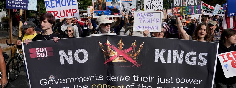 Seit Trumps zweiten Amtsantritt hat es in den USA deutlich mehr Demonstrationen als in seiner ersten Amtszeit gegeben. - Foto: Jose Luis Magana/FR159526 AP/AP/dpa