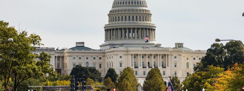 Seit Trumps zweitem Amtsantritt hat es in den USA deutlich mehr Demonstrationen gegeben als in seiner ersten Amtszeit. - Foto: Tom Hudson/ZUMA Press Wire/dpa