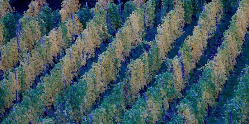 In der neuen Woche kann es in Deutschland zunehmend nass werden. - Foto: Thomas Banneyer/dpa