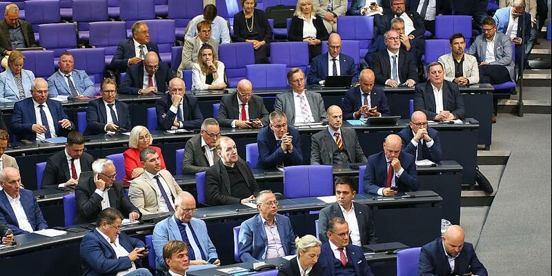 AfD-Bundestagsfraktion (Archiv) - Foto: über dts Nachrichtenagentur