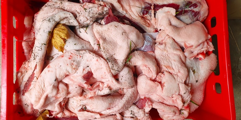 LPI-NDH: Fleischkisten und Scheinekämme suchen ihren Besitzer - Foto: presseportal.de