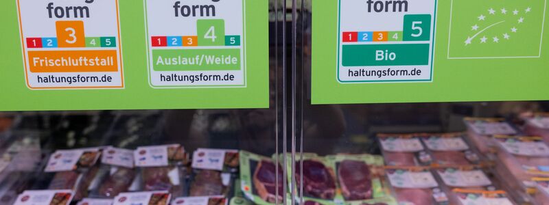 Die großen Handelsketten wollen bis 2030 auf höhere Haltungsformen umsteigen. (Archivbild) - Foto: Rolf Vennenbernd/dpa