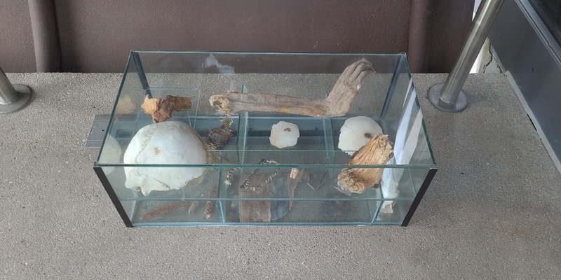 POL-PPRP: Glasvitrine mit über 1.000 Jahre alten menschlichen Überresten abgestellt - Zeugen gesucht - Foto: presseportal.de