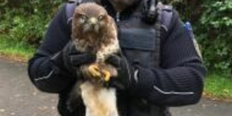 BPOL-FL: IZ - Schutzgewahrsam der anderen Art durch die Bundespolizei auf der A 23 - Foto: presseportal.de