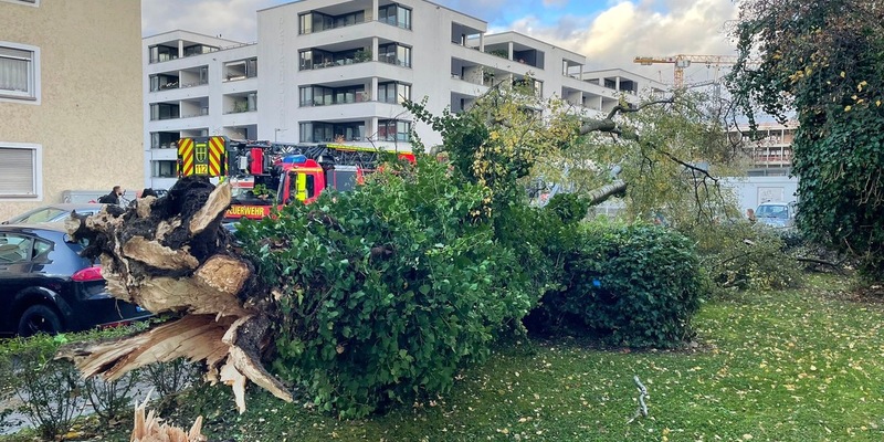 FW Konstanz: Unwetterlage fordert die Feuerwehr - Foto: presseportal.de