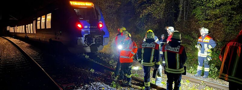 Bei dem Zusammenstoß mit einem Baum wurde kein Passagier des Zuges verletzt.  - Foto: Thorsten Kremers/dpa
