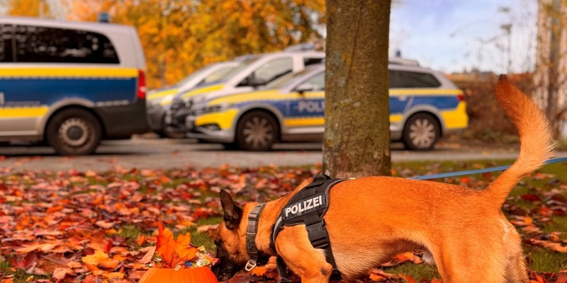 POL-KI: 251024.1 Kiel / Kreis Plön: Die Halloween-Zeit beginnt - sichere und gruselige Tipps - Foto: presseportal.de