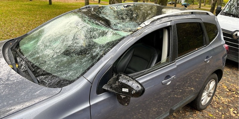 POL-PDKL: Baum stürzt auf Fahrzeugdach - Foto: presseportal.de
