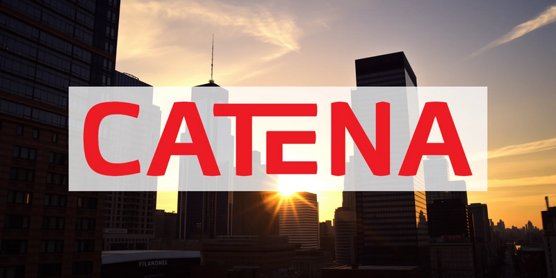 Catena AB Aktie: Krisenzeichen sichtbar? - Foto: über boerse-global.de