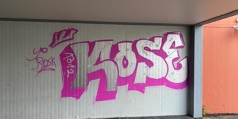 POL-PDTR: IGS-Hermeskeil - Täter beschmieren Hauswand mit Graffiti - Foto: presseportal.de
