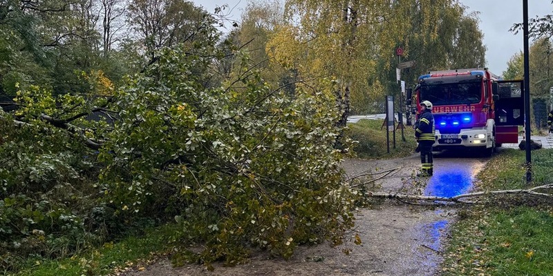 FW-EN: Umgestürzte Bäume auf Radweg - Foto: presseportal.de