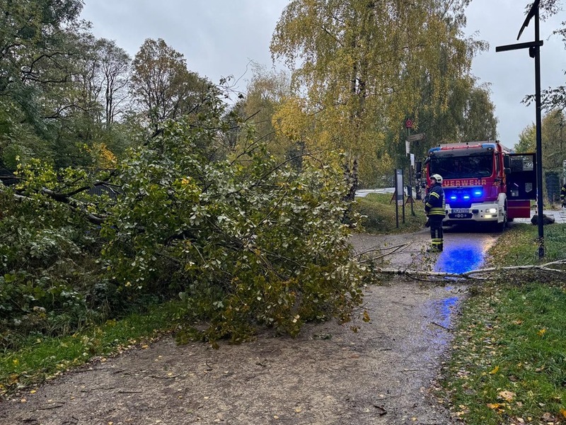 FW-EN: Umgestürzte Bäume auf Radweg - Foto: presseportal.de