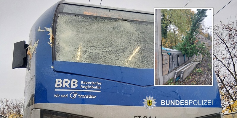 Bundespolizeidirektion München: Umgestürzter Baum auf den Gleisen - Foto: presseportal.de