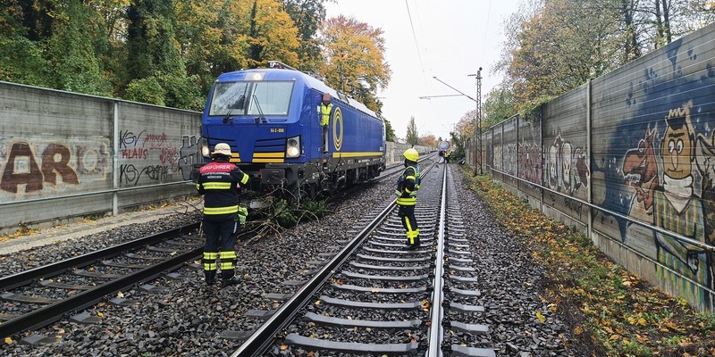 FW-M: Regionalzug kollidiert mit Baum (Giesing) - Foto: presseportal.de