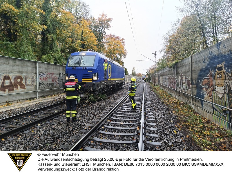 FW-M: Regionalzug kollidiert mit Baum (Giesing) - Foto: presseportal.de