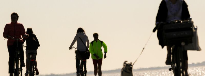 Von Sport profitieren Frauenherzen mehr als Männerherzen. (Illustration) - Foto: Mohssen Assanimoghaddam/dpa