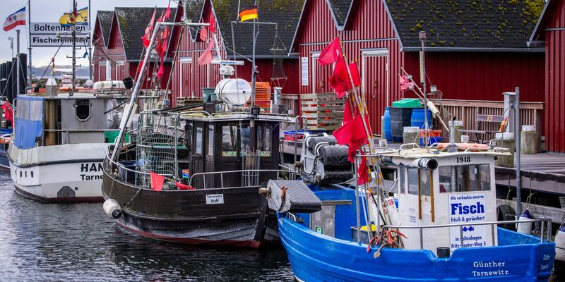 Trotz Sorgen um Dorsch und Hering: Für die deutschen Ostsee-Fischer bleibt fast alles beim Alten. (Symbolbild) - Foto: Jens Büttner/dpa