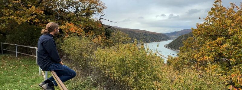 Laut dem Lagebild zur häuslichen Gewalt des Bundeskriminalamts (BKA) waren vergangenes Jahr rund 70 Prozent der Betroffenen weiblich und gut 30 Prozent männlich. - Foto: Andreas Arnold/dpa