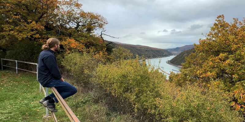 Bislang gibt es nur in wenigen Bundesländern Gewaltschutzeinrichtungen für Männer. - Foto: Andreas Arnold/dpa
