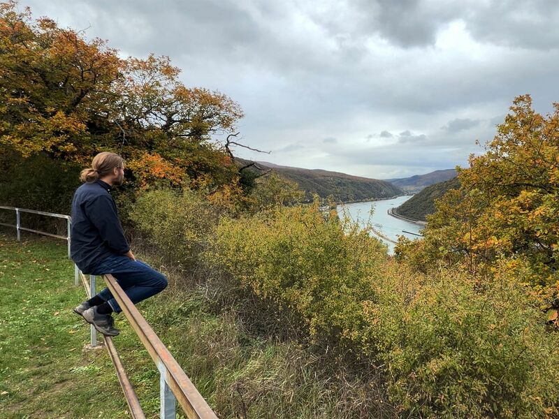 Laut dem Lagebild zur häuslichen Gewalt des Bundeskriminalamts (BKA) waren vergangenes Jahr rund 70 Prozent der Betroffenen weiblich und gut 30 Prozent männlich. - Foto: Andreas Arnold/dpa