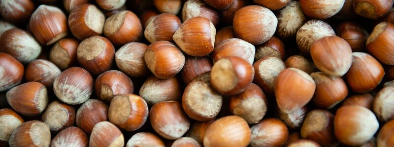 Die Haselsnussernte ist in Italien so schlecht ausgefallen wie seit Jahrzehnten nicht mehr. (Archivbild) - Foto: Lisa Ducret/dpa