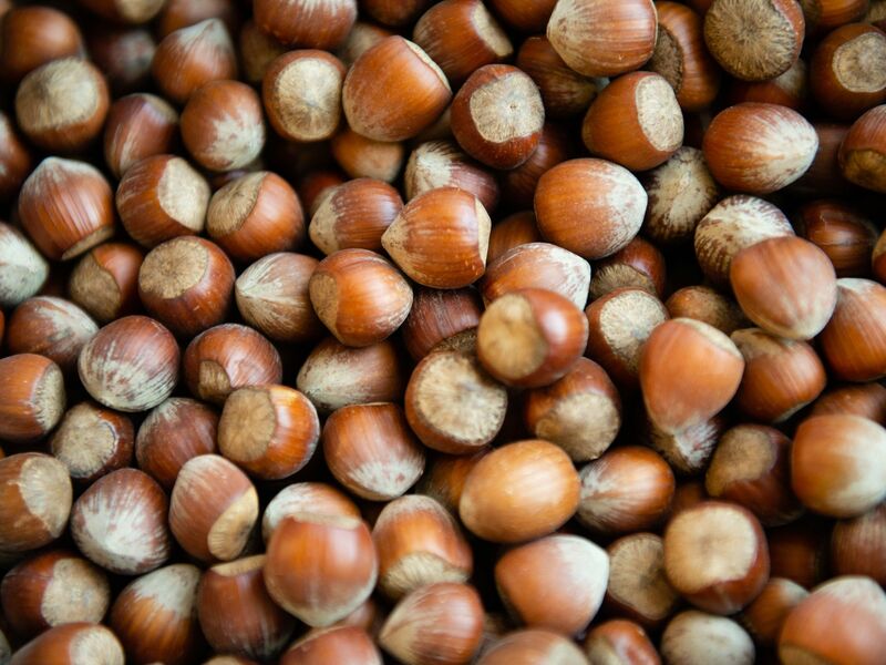 Die Haselsnussernte ist in Italien so schlecht ausgefallen wie seit Jahrzehnten nicht mehr. (Archivbild) - Foto: Lisa Ducret/dpa