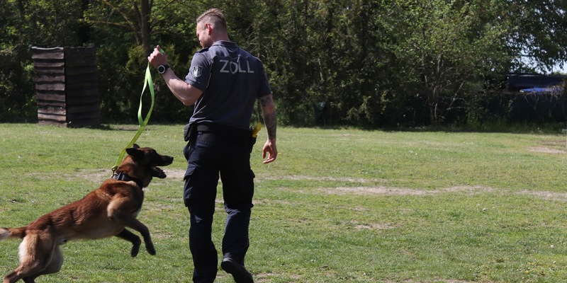HZA-P: Zollhund Ego lässt Cannabisschmuggel am Flughafen BER auffliegen / Zoll entdeckt knapp 16 Kilogramm Cannabis bei der Einreise aus New York - Foto: presseportal.de