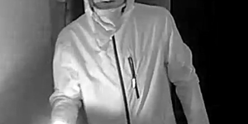 POL-BS: Öffentlichkeitsfahndung nach Einbruch - Foto: presseportal.de