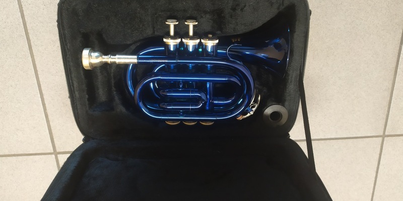 POL-HS: Wer vermisst eine blaue Minitrompete? - Foto: presseportal.de