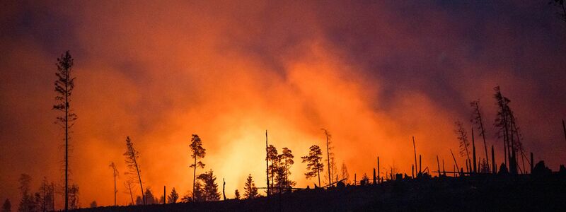 Waldbrände fachen mit ihren Emissionen die Erderwärmung zusätzlich an. (Illustraiton) - Foto: Daniel Vogl/dpa