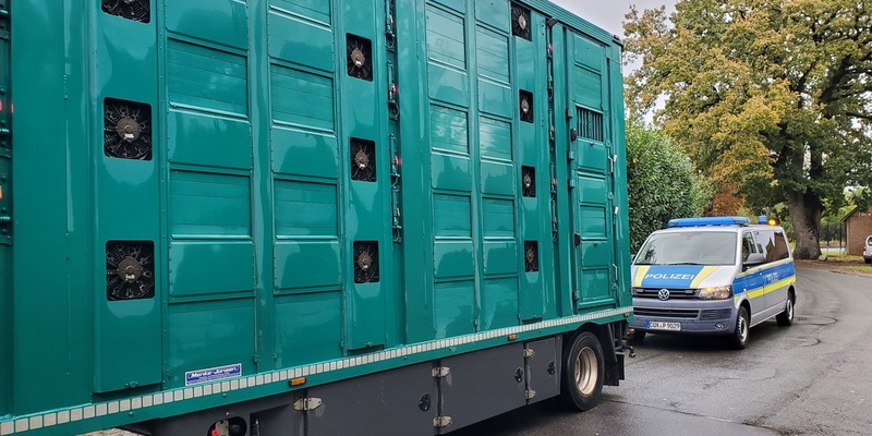 POL-CUX: Gemeinsame Pressemeldung der Polizeiinspektion Cuxhaven und des Bereichs Veterinärwesen des Landkreises Cuxhaven - Kontrolle von Tiertransporten - Behördenübergreifende Zusammenarbeit - Foto: presseportal.de